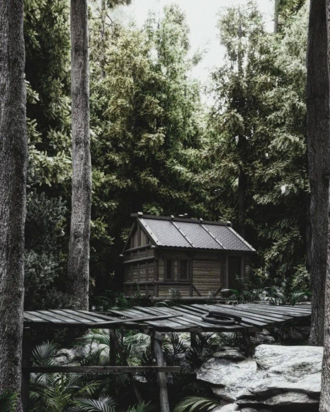 Little cabin in the woods