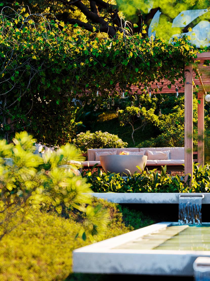 vegetation on koi house