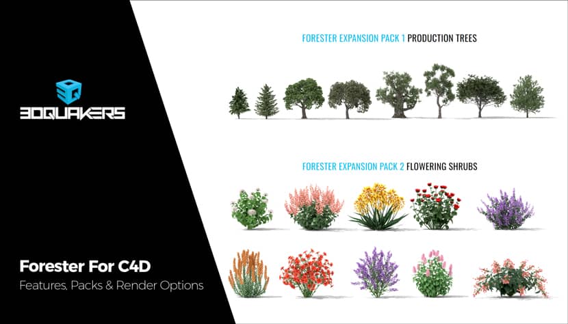Forester For C4D: Features, Packs & Render Options